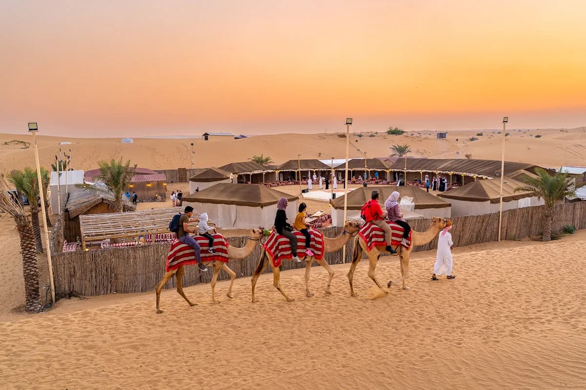 Guests on a camel ride past the desert camp at sunset