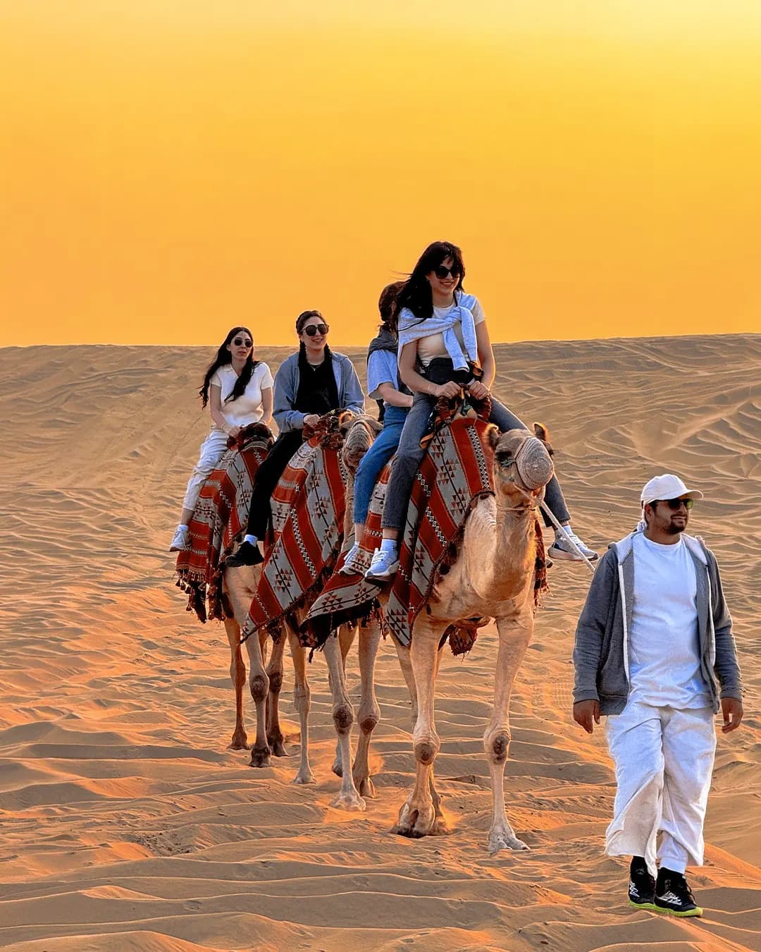 Camel caravan crossing the desert at golden hour