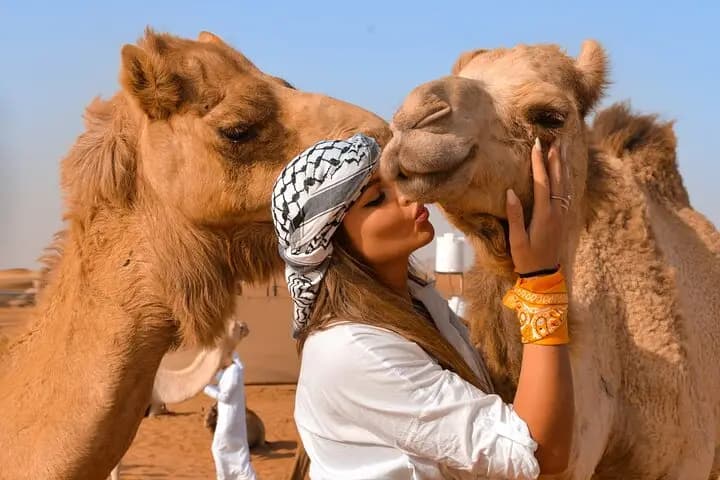 Guest greeting camels at sunrise