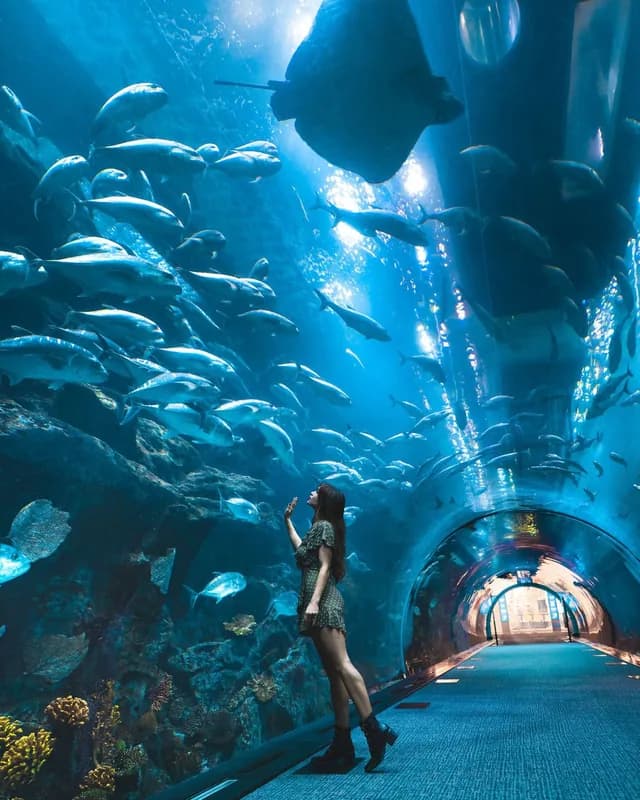 Guest looking up inside the aquarium tunnel