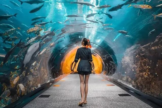 Walkway through the underwater viewing tunnel