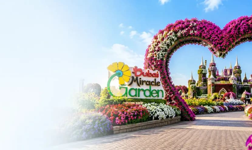 Dubai Miracle Garden Ticket