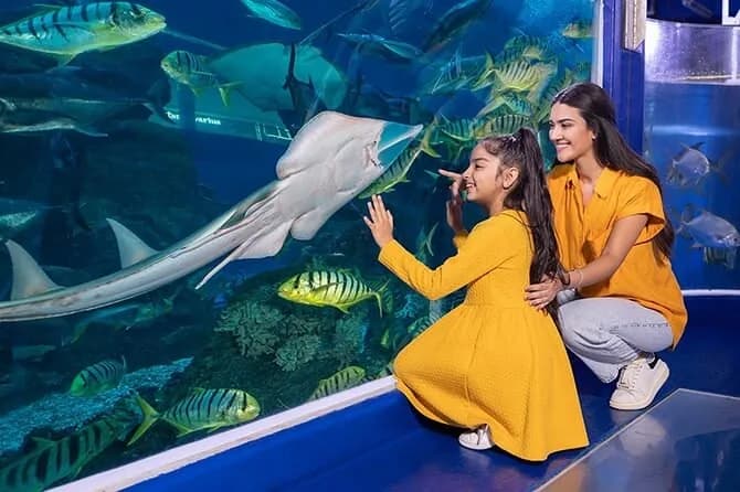 Visitors watching a ray through the aquarium glass