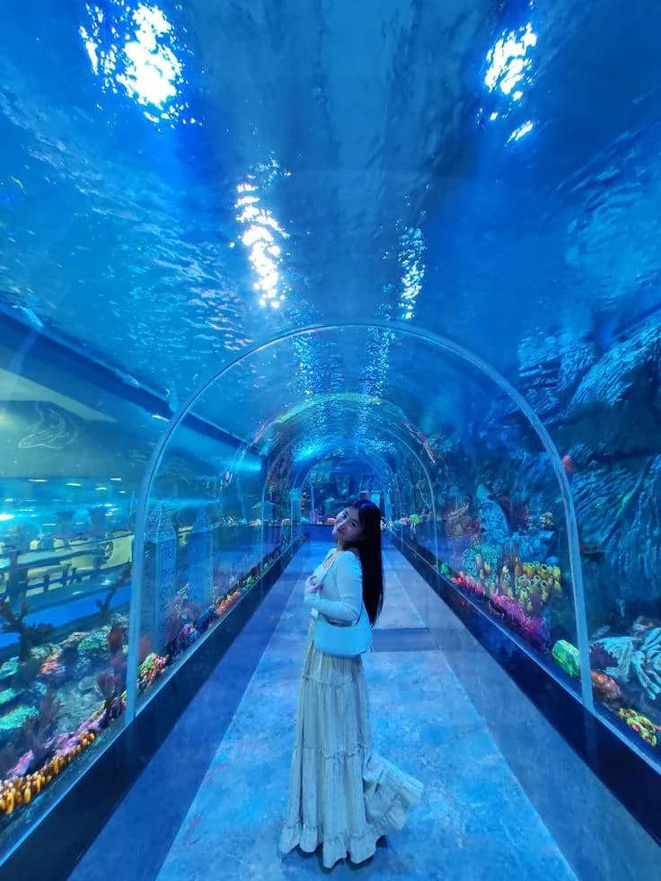 Guest watching the reef from inside the tunnel