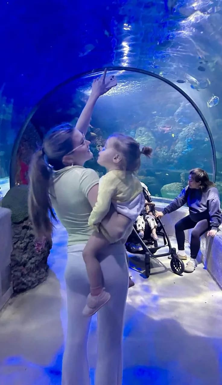 Parent lifting a child to the aquarium glass